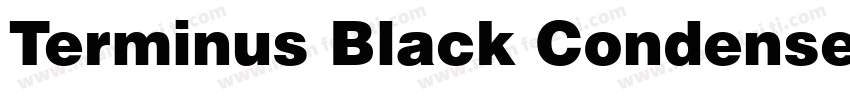 Terminus Black Condensed SSi Black字体转换